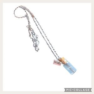 NWT Silver Tone Feather In A Bottle Necklace